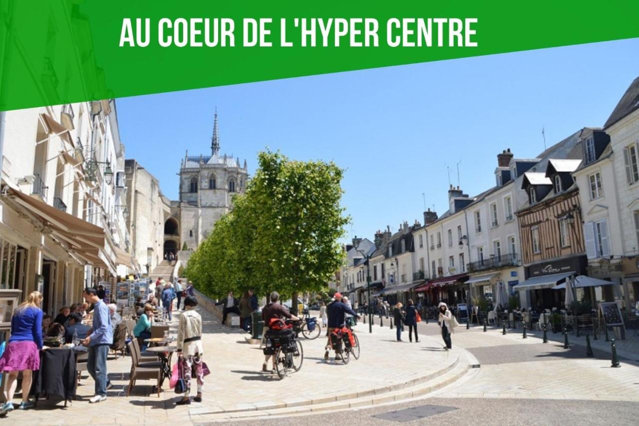 Nouveau-Leconcorde-Vuesurlaloire-Hypercentre Διαμέρισμα Αμπουάζ Εξωτερικό φωτογραφία